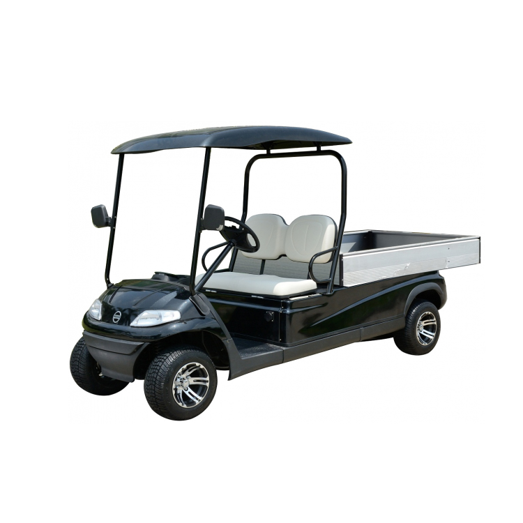 golf cart zwart